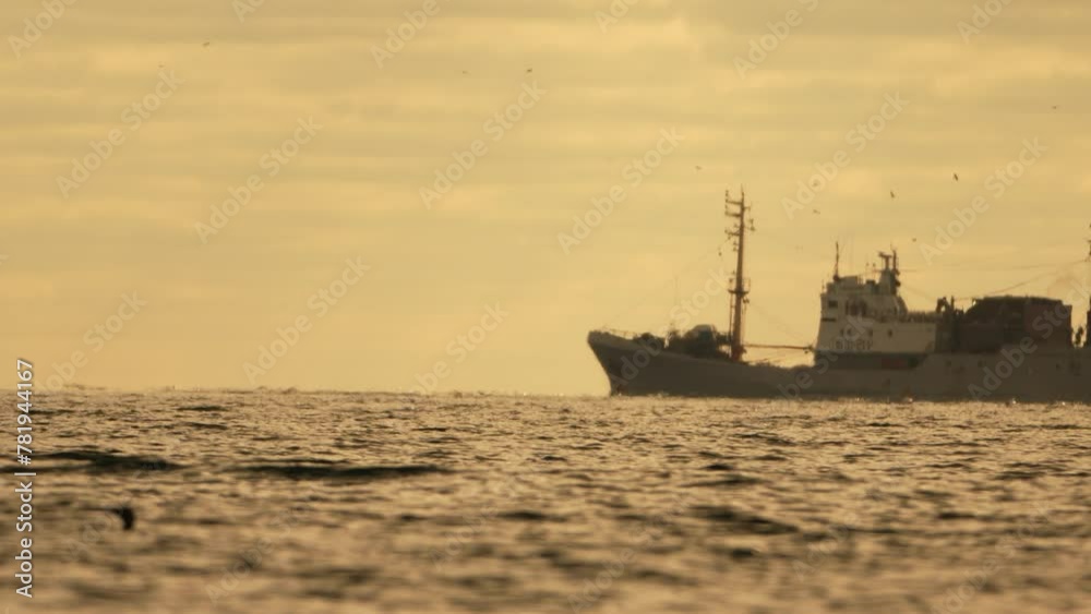 Abstract sea ocean sunset nature background with seagulls and fishing boat trawler catches fish while sailing on sea at horizon in distance sail to catch school of fish on calm sea surface in summer.