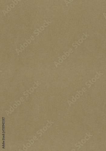 Seamless Clay Creek, Granite Green, Sorrell Brown decorative vintage paper texture as background, detail solid scrapbook page. Vertical portrait orientation. (ID: 781945587)