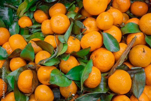 background image: collected tangerine fruits of the new harvest among green leaves