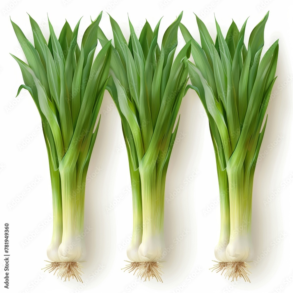 3d Realistic Ramps (Wild leeks) illustration set on white background. 3d Realistic Ramps (Wild leeks) illustration set on white background.