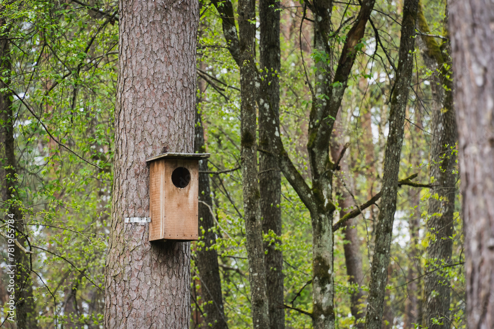 A large birdhouse on a tree in the forest in spring.