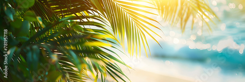 Sunny tropical beach with bright sunlight filtering through palm leaves, creating a serene and inviting vacation backdrop in vibrant colors