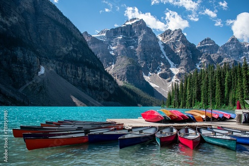 Group of boats near the lake shore