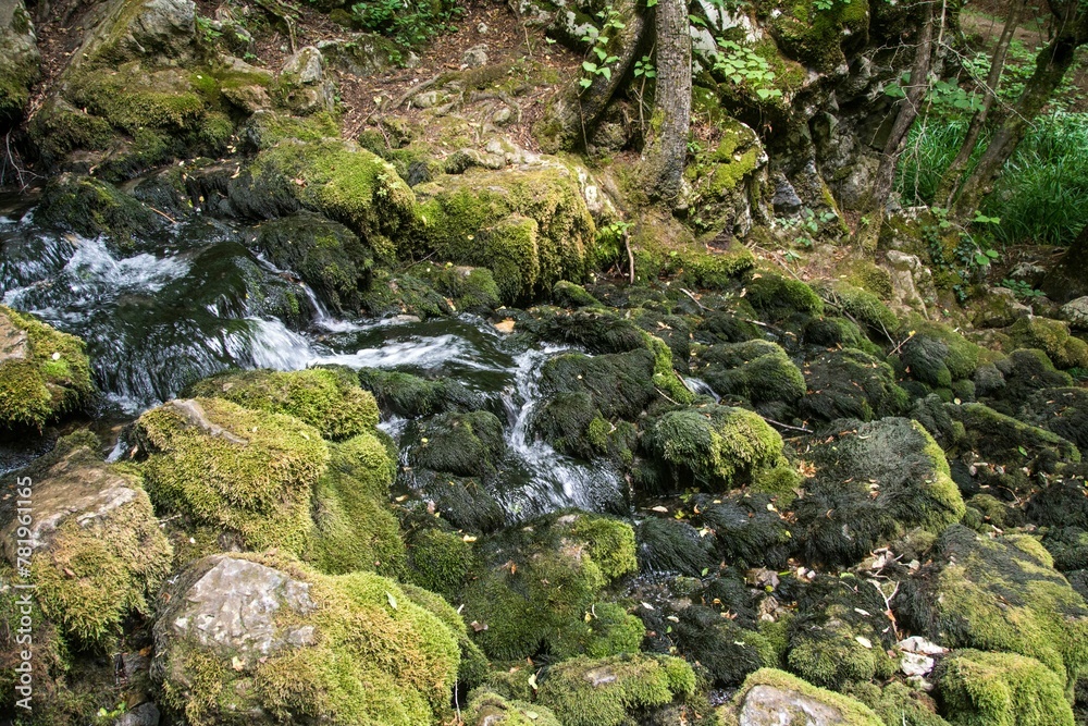 Well source of the Grza river in Serbia Well source of the Grza river in Serbia