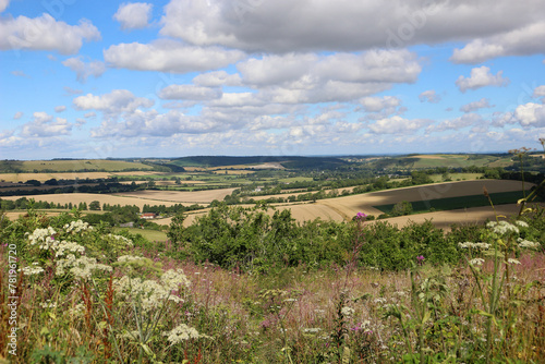 Rural landscape across the South Downs with white clouds and blue sky