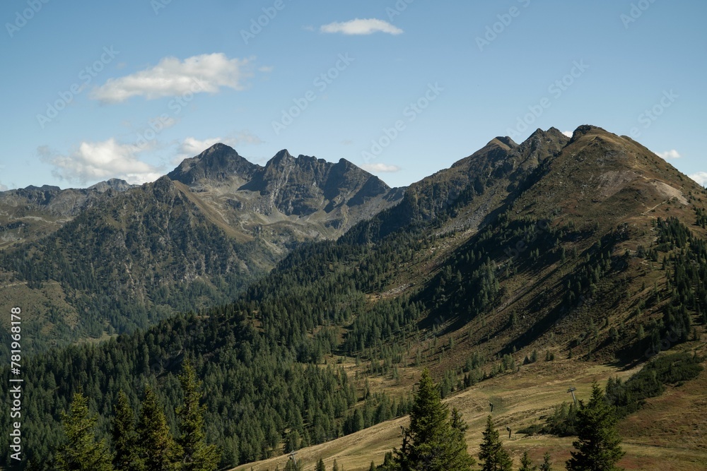 Aerial shot of a mountainside with a forest of evergreen spruces under the blue sky