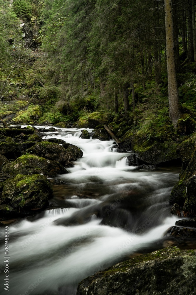 Vertical long exposure of waterfall cascades surrounded by evergreen trees