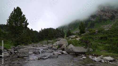 High mountain river in Baqueira Beret, Val d'Aran, Lleida, Spain.