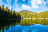 alpine lake synevyr in carpathian mountains in morning light. summer landscape with coniferous forest reflecting in the calm water. scenery under the blue sky. popular travel destination of ukraine