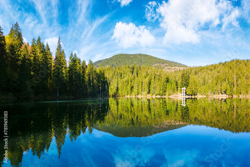 alpine lake synevyr in carpathian mountains in morning light. summer landscape with coniferous forest reflecting in the calm water. scenery under the blue sky. popular travel destination of ukraine