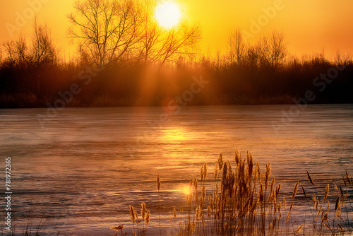 Spring landscape. Sunrise of the solar disk over the northern icy river, on the bare winter floodplain forests. The sun's rays are reflected hotly in the ice surface. Northeast of Europe photo