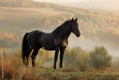 A powerful black stallion - Generative AI
