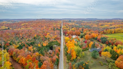 High-angle shot of a road in the middle of a yellow forest under the blue sky during the autumn.