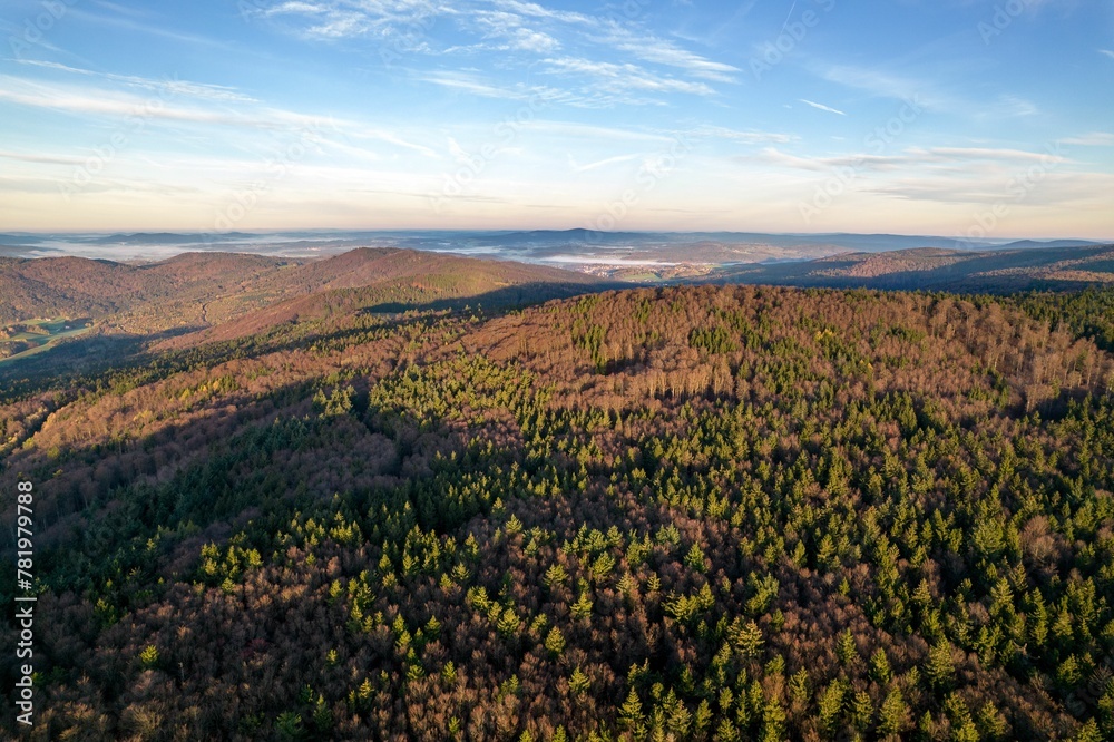 Bavarian forest touched by golden sunlight near Furth im Wald