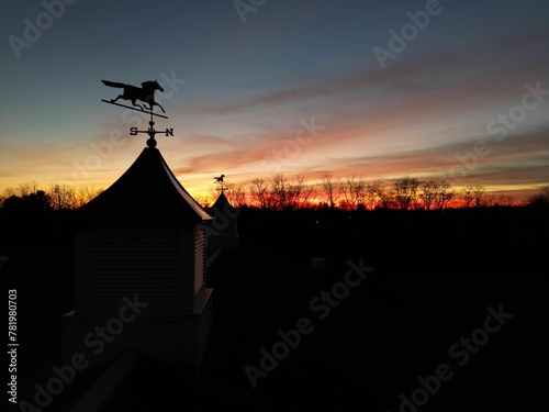 Silhouette of horse weathervanes on cupolas and trees against the orange-red sky at the sunset