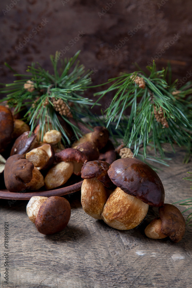 Imleria Badia or Boletus badius mushrooms commonly known as the bay bolete and clay plate with mushrooms on vintage wooden background.. Imleria Badia or Boletus badius mushrooms commonly known as the bay bolete and clay plate with mushrooms on vintage wooden background..