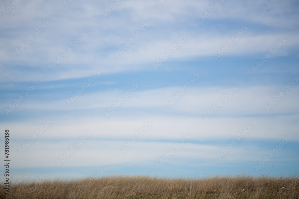 A blue sky with white clouds and a strip of land overgrown with grass
A blue sky with white clouds and a strip of land overgrown with grass