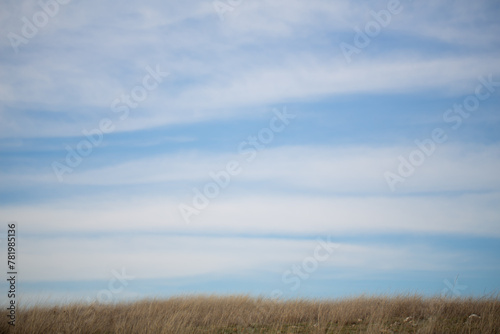 A blue sky with white clouds and a strip of land overgrown with grass 