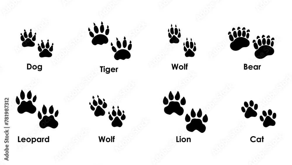 Set of different silhouettes of animal paws - dog, cat, tiger, fox, bear, lion, wolf, leopard. Vector illustration