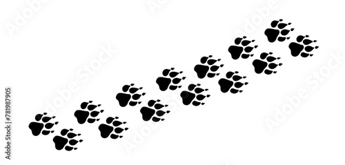 There are many traces of silhouettes of black paws of a wild wolf. Vector illustration