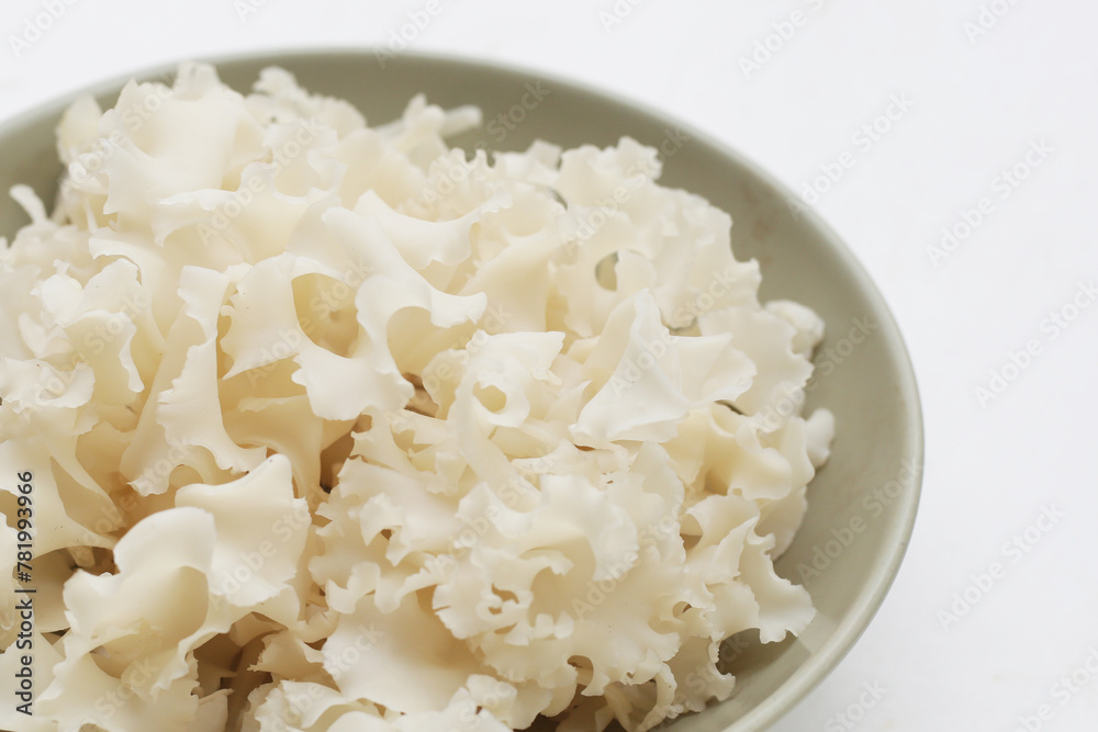 Cauliflower mushroom or cauliflower fungus