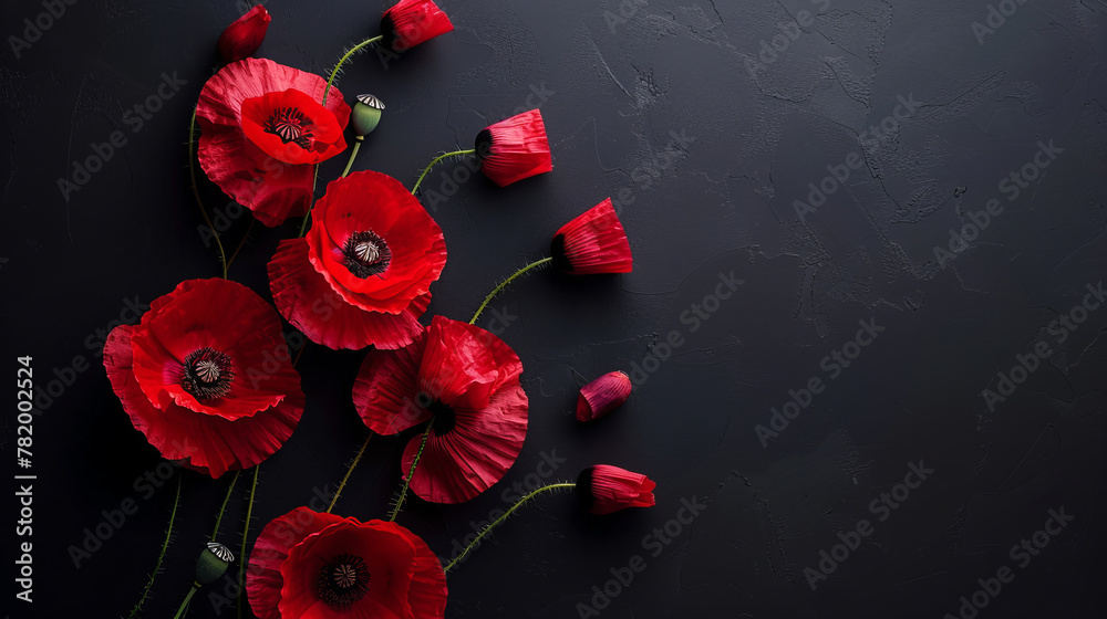 Red poppies on black background. Remembrance day, armistice day symbol - obrazy, fototapety, plakaty 