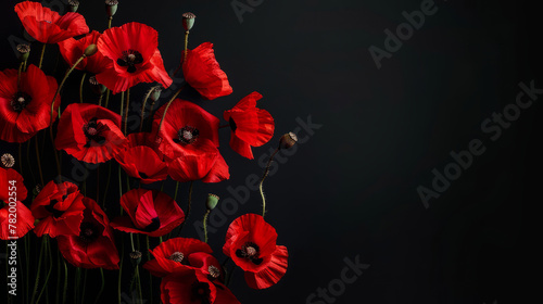 Red poppies on black background. Remembrance day, armistice day symbol