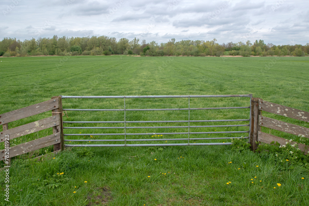 Front View Gate At A Farmland At Abcoude The Netherlands 8-4-2024