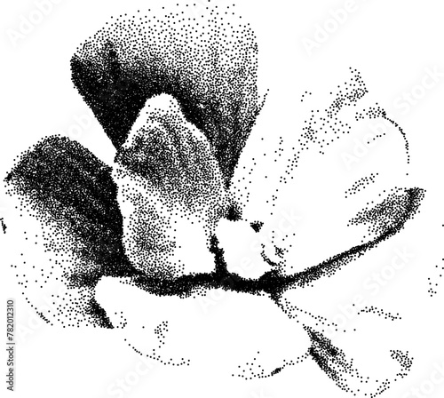 Grunge grain flower with a xerox or grainy photocopy effect. Dotted element with halftone stipple effect for gothic collage design. Vector illustration.	