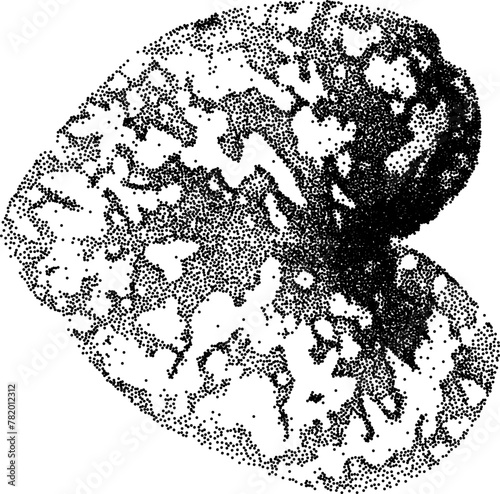 Grunge grain plant with a xerox or grainy photocopy effect. Dotted element with halftone stipple effect for gothic collage design. Vector illustration.	
