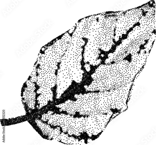 Grunge grain plant with a xerox or grainy photocopy effect. Dotted element with halftone stipple effect for gothic collage design. Vector illustration.	