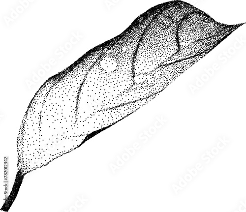 Grunge grain plant with a xerox or grainy photocopy effect. Dotted element with halftone stipple effect for gothic collage design. Vector illustration.	