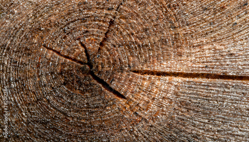 Wood Background: Artistic Macro of Wood's Textural Elegance. Wood Beech texture