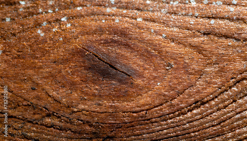 Wood Background: Artistic Macro of Wood's Textural Elegance. Wood Beech texture