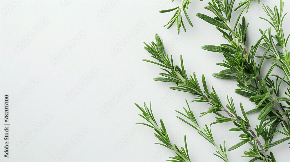 Portion of fresh Rosemary, background, top view, copy space Portion of fresh Rosemary, background, top view, copy space