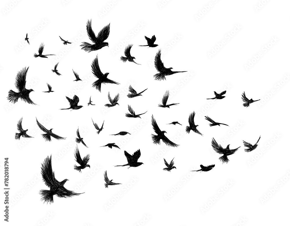 llustration of a crow flying and spreading its wings. Stock ...
