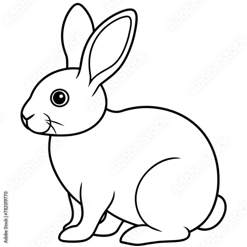 rabbit colouring page white background -Vector illustration