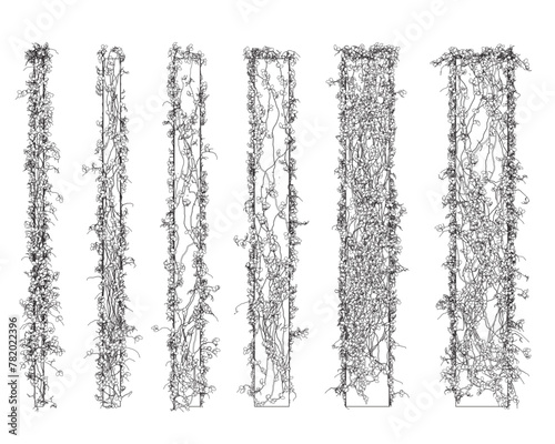 Contour of columns entwined with plants with leaves made of black lines isolated on a white background. 3D. Vector illustration. A set of columns of different sizes. Front view.