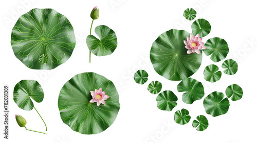 Lotus flower digital art in vibrant 3D, isolated on transparent background. Top view flat lay of detailed blossom, perfect design element for botanical decoration. Symbolic of zen, meditation, and spi