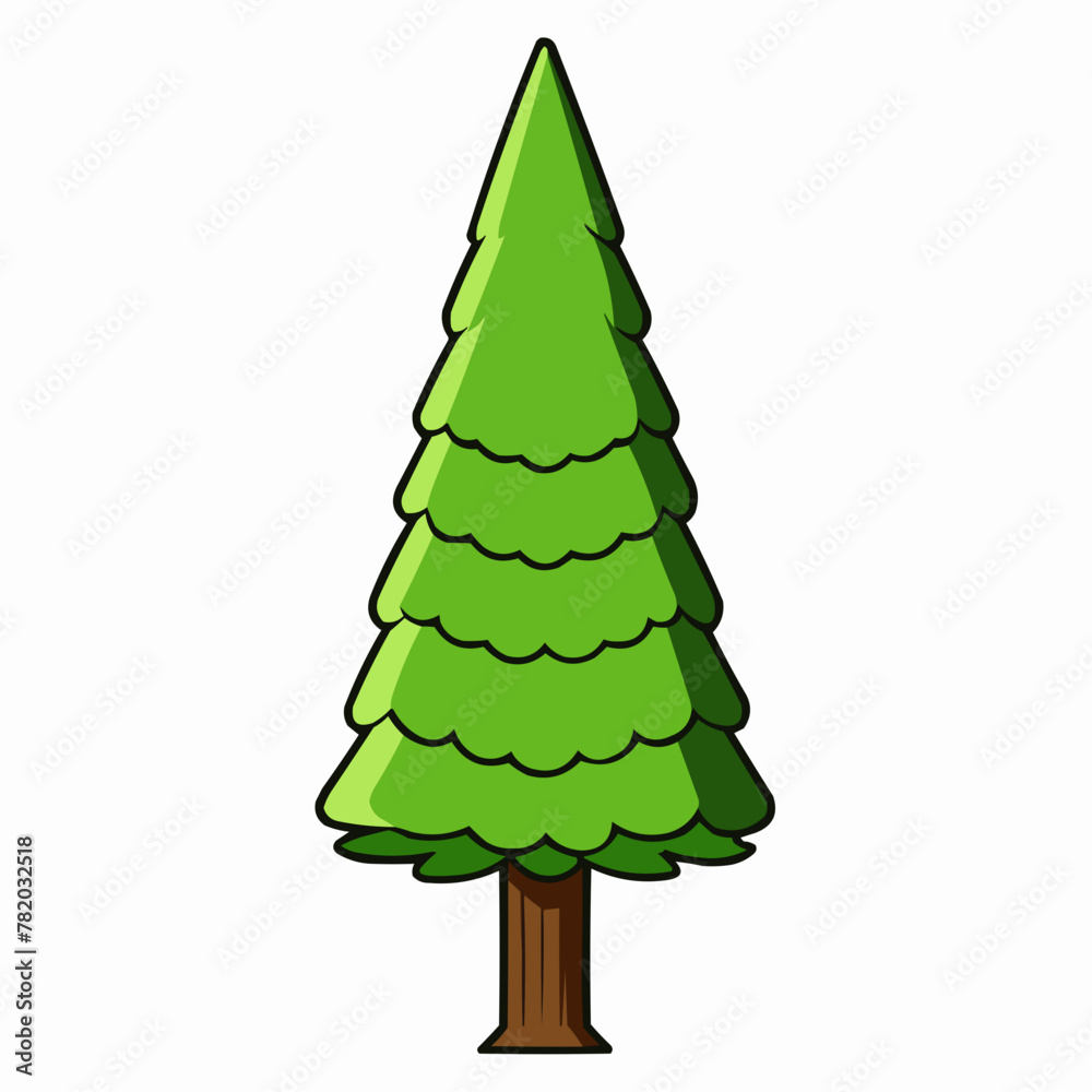 cedar tree isolated on white cedar tree isolated on white