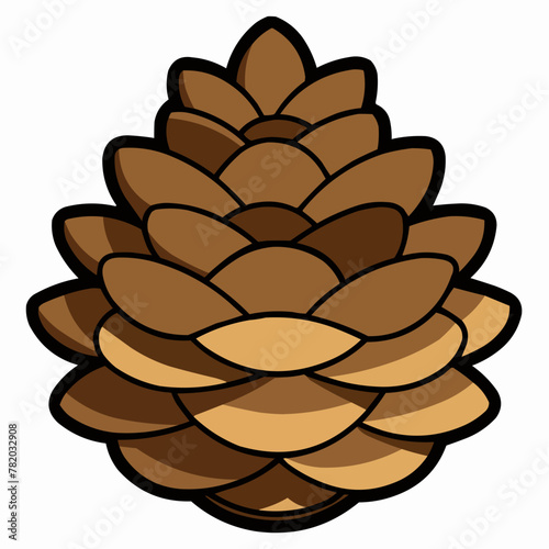vector illustration of pine cones
