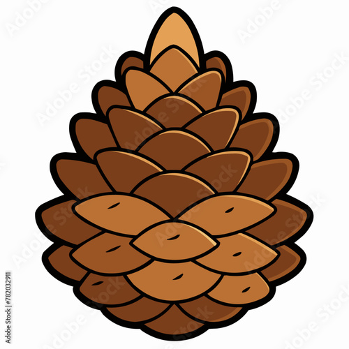 vector illustration of pine cones