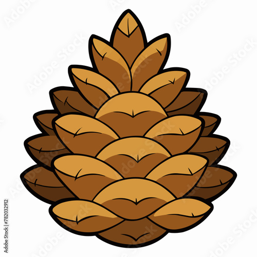 vector illustration of pine cones