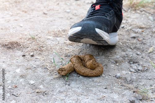 Canvastavla Unaware person Nearing Dog Poop on Ground