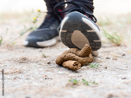 Quadro su tela Unaware person Nearing Dog Poop on Ground