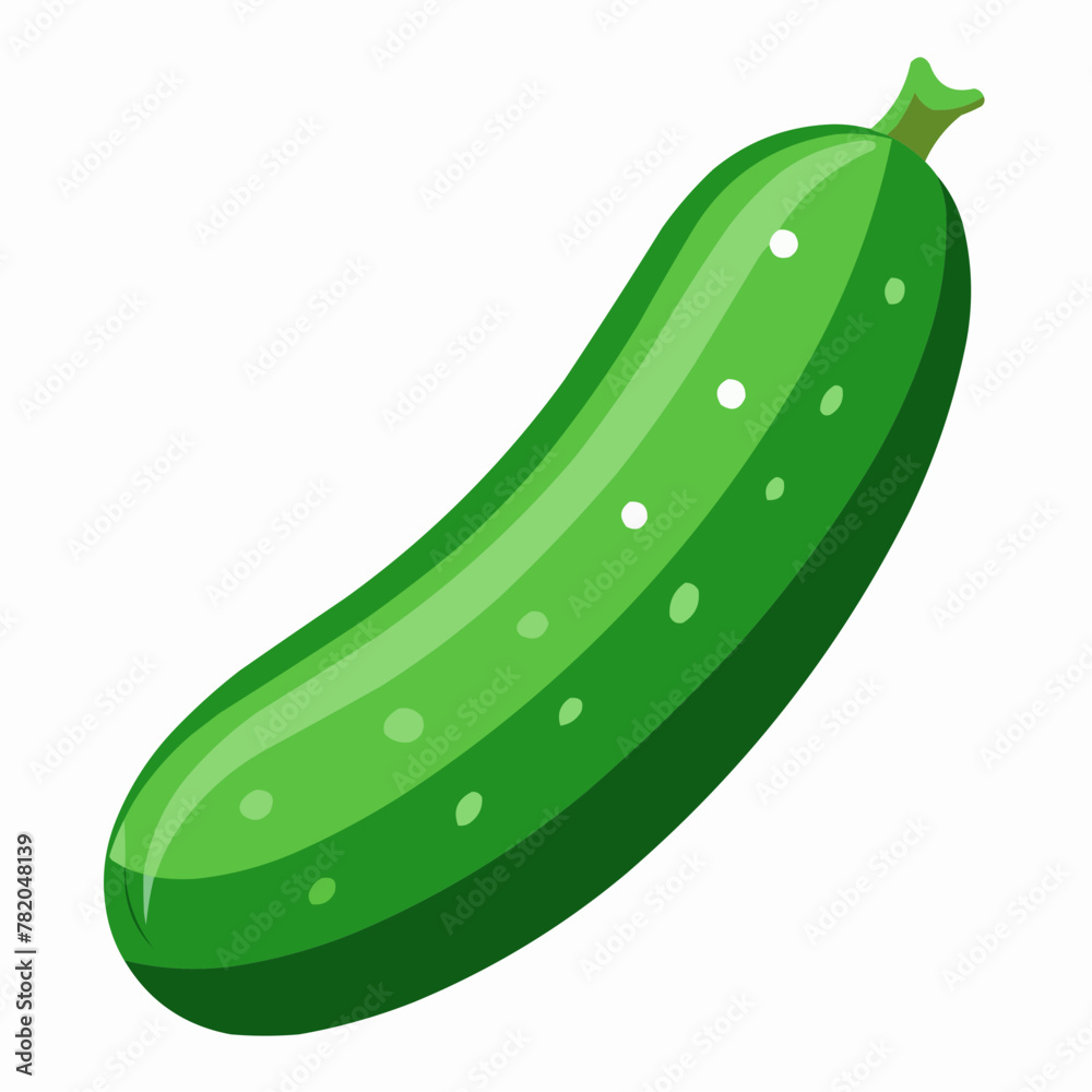 illustration of cucumber illustration of cucumber