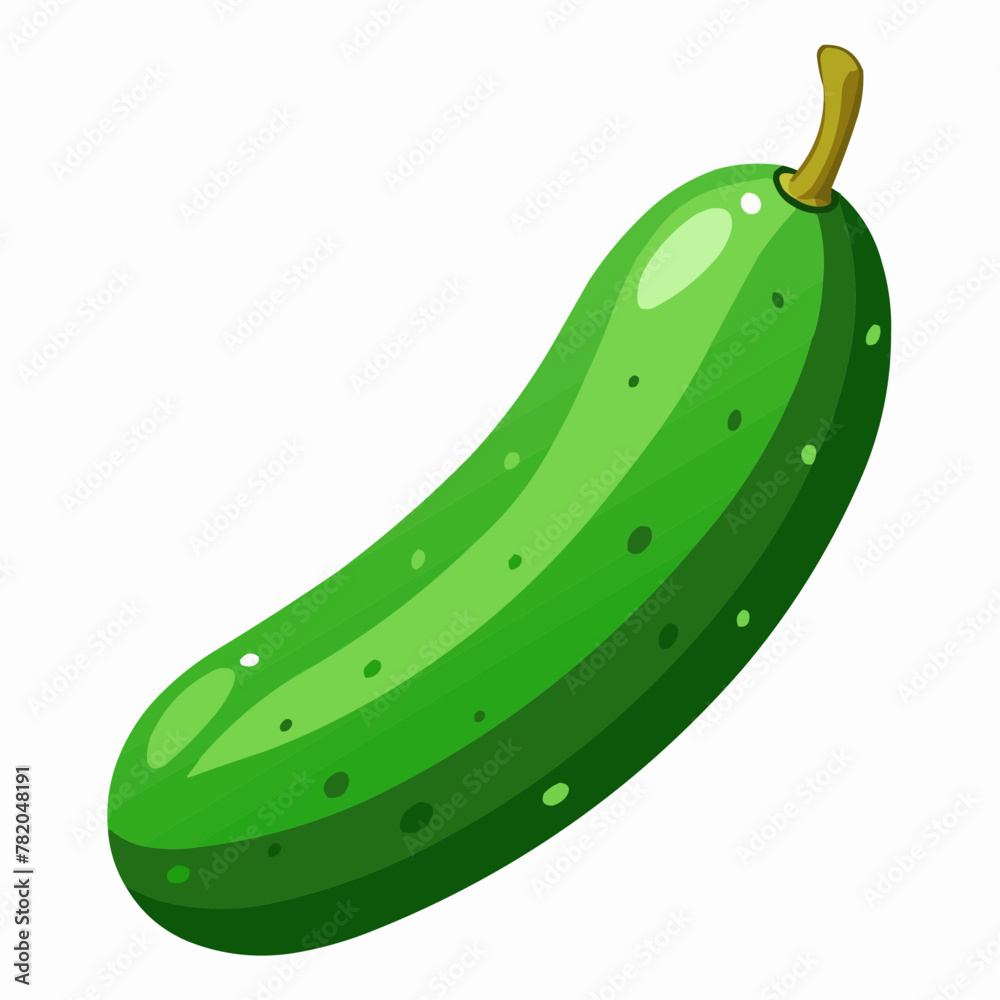 illustration of cucumber illustration of cucumber