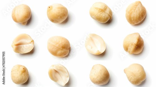 Top view of a collection of fresh macadamia nuts isolated on a white background, displaying both whole and shelled macadamias to highlight the smooth, creamy texture and rich, buttery flavor of these  photo