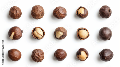Top view of a collection of fresh macadamia nuts isolated on a white background, displaying both whole and shelled macadamias to highlight the smooth, creamy texture and rich, buttery flavor of these  photo