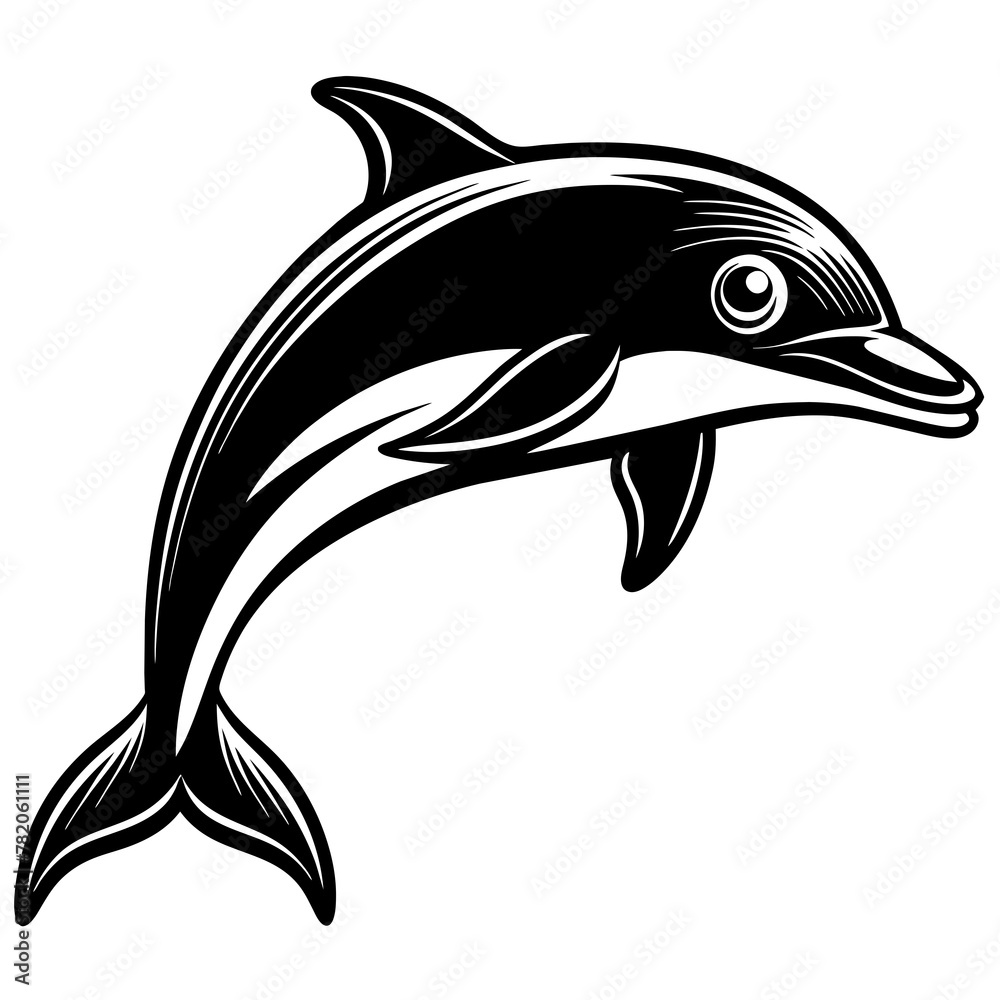 Fototapeta premium dolphin white background -Vector illustration